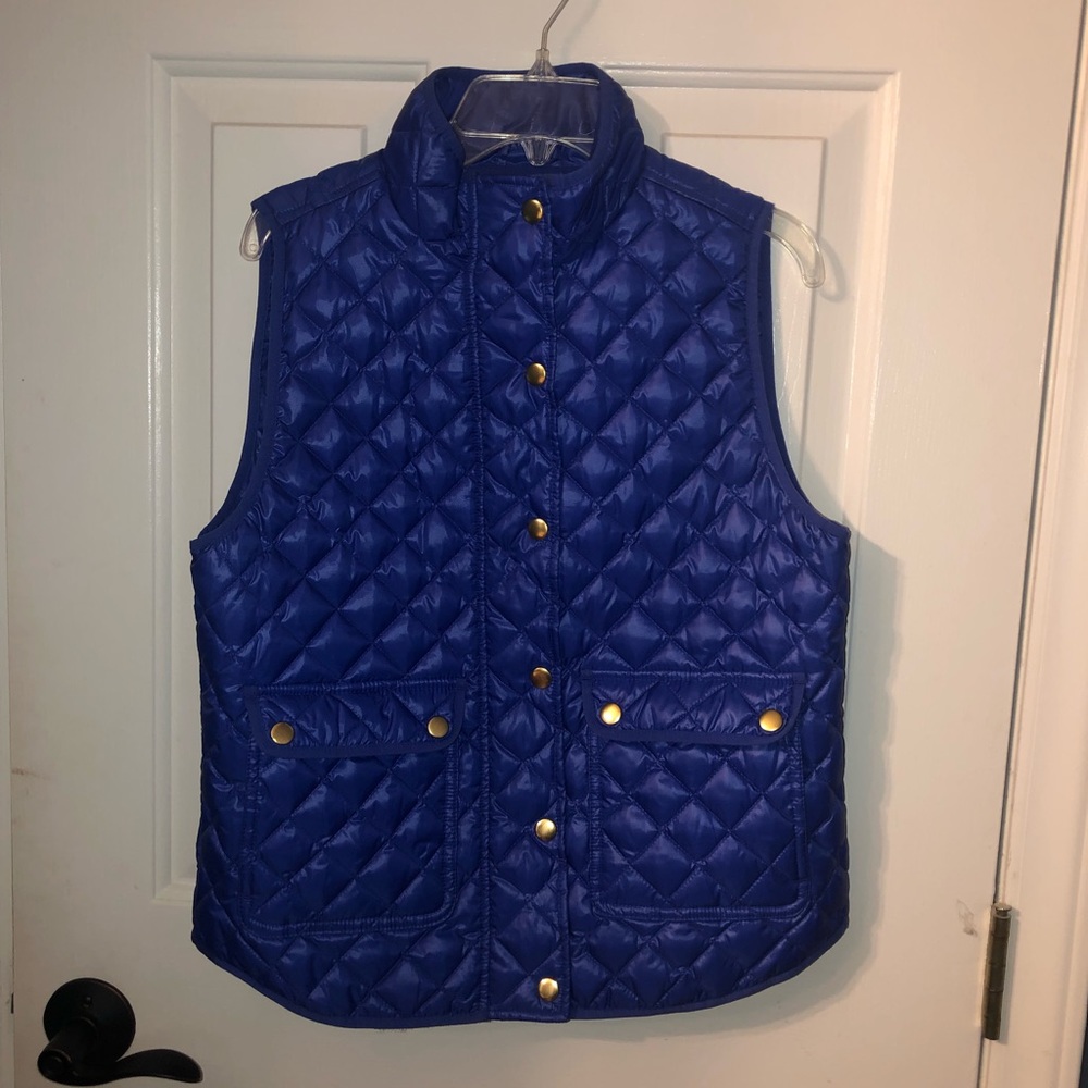 Blue Vest (J. Crew!)